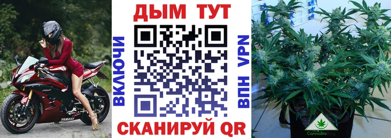Как найти наркотики Анива Cocaine  Мефедрон  Гашиш  Марихуана 