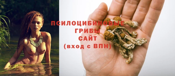 герыч Алексин