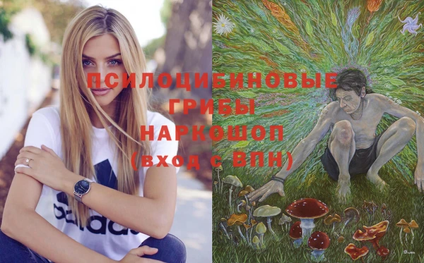 крисы Алексеевка