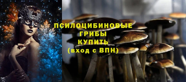 герыч Алексин